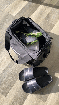 ClingzGripSocks clingz clingzgripsocks GIF
