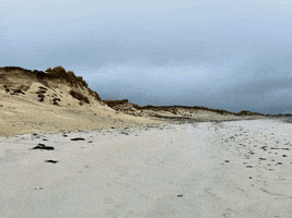 Domain GIF by FranchiseONE.de