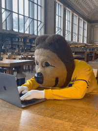 caloski shocked california typing suprised GIF