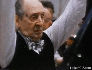 amadeus GIF