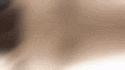 Dom GIF by New 11