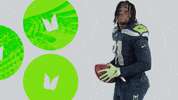 American Football GIF by Seattle Seahawks