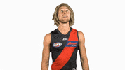 essendonfc dons bombers essendon essendon fc GIF
