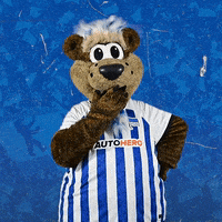 Bundesliga Berlin GIF by Hertha BSC