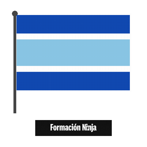 Flag Spain Sticker by Formación Ninja