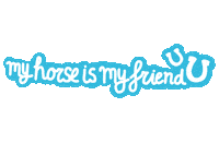 HoefWijzer horse paard my friend paarden Sticker
