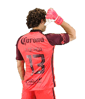 Memo Ochoa Soccer Sticker by Club America