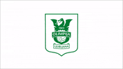 Gol GIF by Prva liga Telekom Slovenije