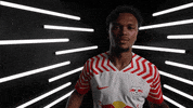 Germany Football GIF by Bundesliga