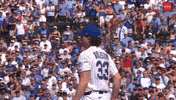 Lets Go Mlb GIF