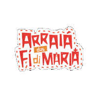 Festa Comunidade Sticker by comunidadefilhosdemaria