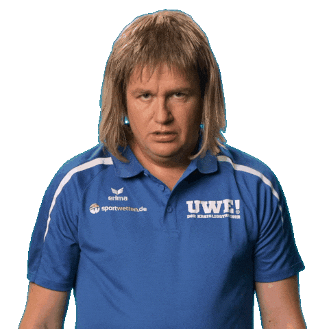 Euro 2024 Comedy Sticker by Kreisligatrainer