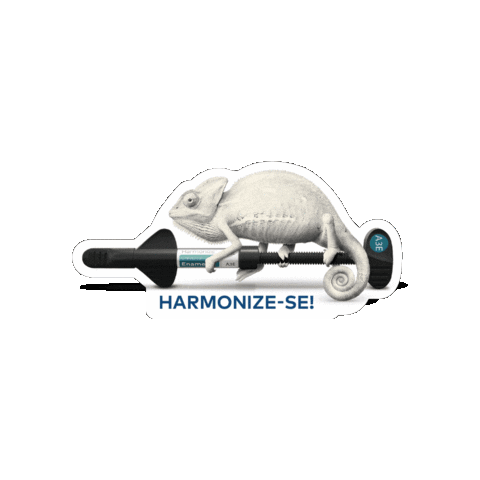 Kerr Harmonize Sticker by Envista Brasil