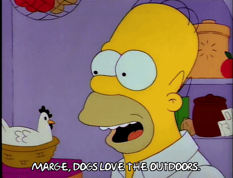 Talking Season 3 GIF by The Simpsons