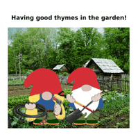 Garden Gnome GIF