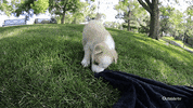 good night lol GIF by Outside TV