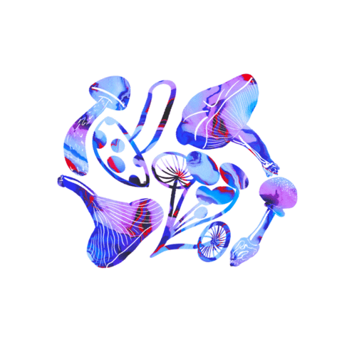 0netwentysix  Sticker