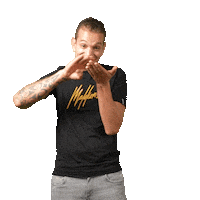 Money Dutch Sticker by dutchperformanteshop