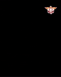 Rishabh Pant GIF