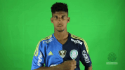 enea GIF by SE Palmeiras