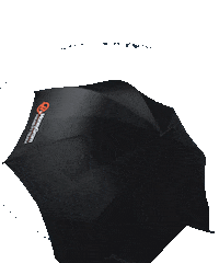 Formula 1 Fittipaldi Sticker by Haas F1 Team