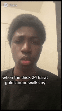 Bonquavion GIF