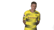 world cup what Sticker by Bundesliga