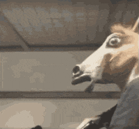 Horses Seo GIF by Kiwosan