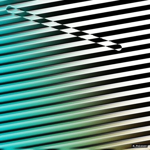 GIF by Michel Poisson