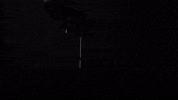 flowcast preparation flowcast GIF