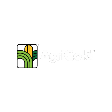 Agriculture Corn Sticker by AgriGold