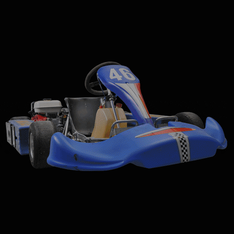 circuitparkberghem giphyupload racing kart karting GIF