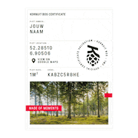 Beer Tree Sticker by Grolsch