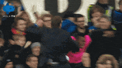 Everton Duncanferguson GIF by MolaTV