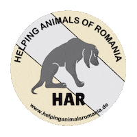 Dog Helping Sticker by helpinganimalsromania