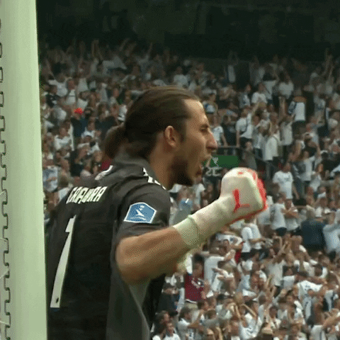 Come On Cheering GIF by F.C. København