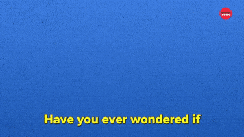 Does Your Dog Love You Or Your Partner More?