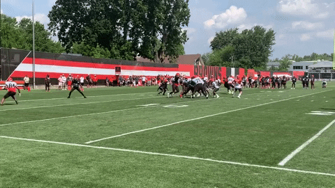 jburns1810 giphyupload GIF