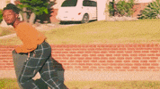 duckwrth duckwrth bernal heights GIF