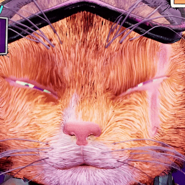 Cats GIF by Wired Productions