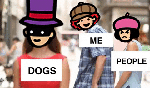 People Lol GIF by Pixmain