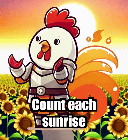 Sun Wisdom GIF by Zorooster