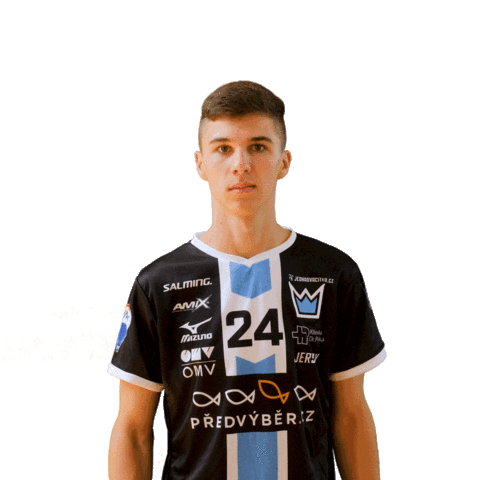 Floorball Bauer Sticker by Český florbal