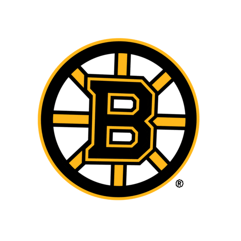 Go Boston Bruins Sticker by NHL
