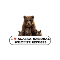 National Wildlife Refuge Bears Sticker by U.S. Fish and Wildlife Service