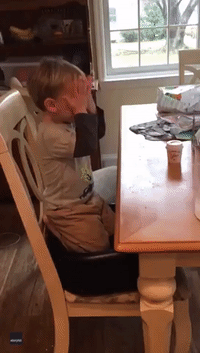 Boy Plays Virtual Peekaboo With Grandma During Lockdown