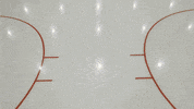hockeyplayersclub  GIF