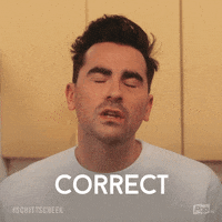 pop tv yes GIF by Schitt's Creek