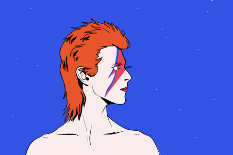 David Bowie Nicky Rojo GIF