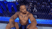 Sport Mma GIF by UFC
